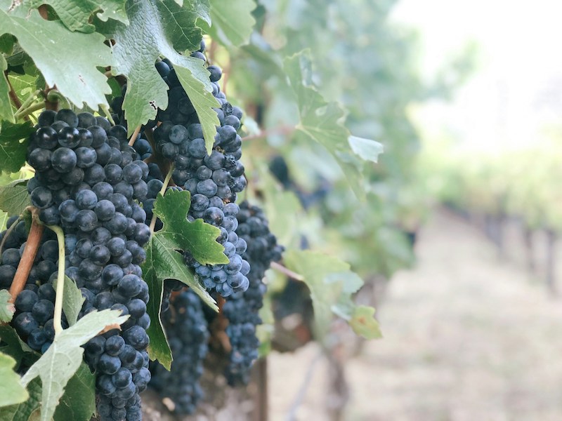 7801 St Helena Hwy, Napa, CA