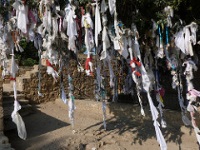 Tree and cloth pieces