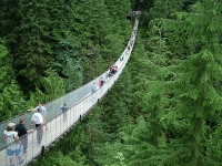 Capilano Suspension Bridge