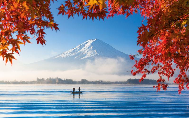 Japan Revealed (Solo Tour)