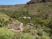Palmitos Park
